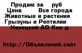 Продам за 50 руб. › Цена ­ 50 - Все города Животные и растения » Грызуны и Рептилии   . Ненецкий АО,Кия д.